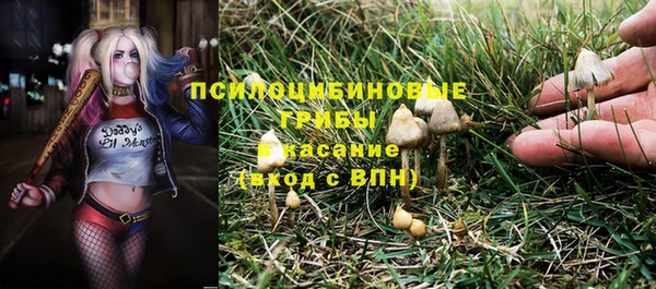 гашиш Дмитров